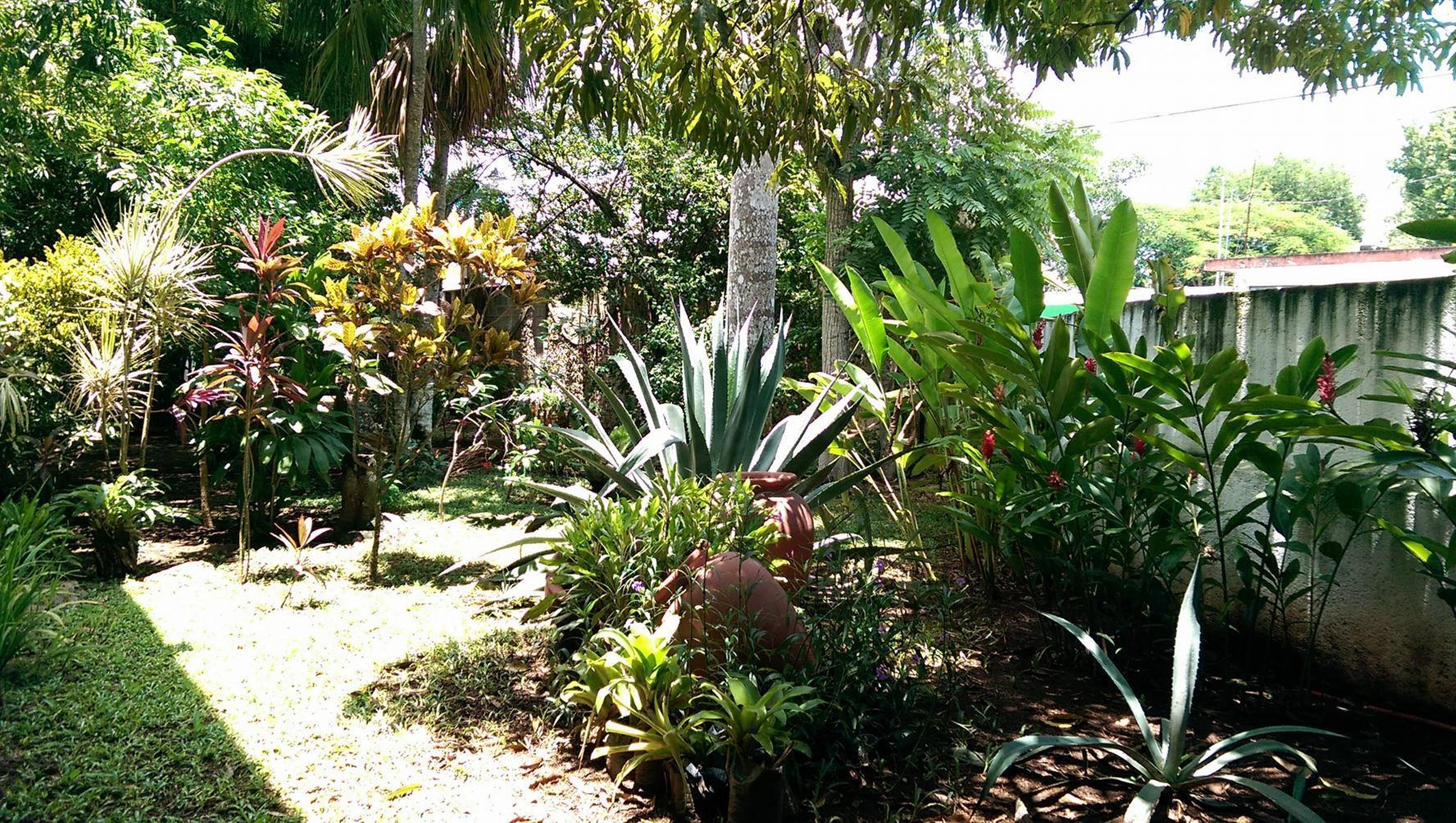 Ecotel Quinta Regia Βαγιαδολίδ Εξωτερικό φωτογραφία