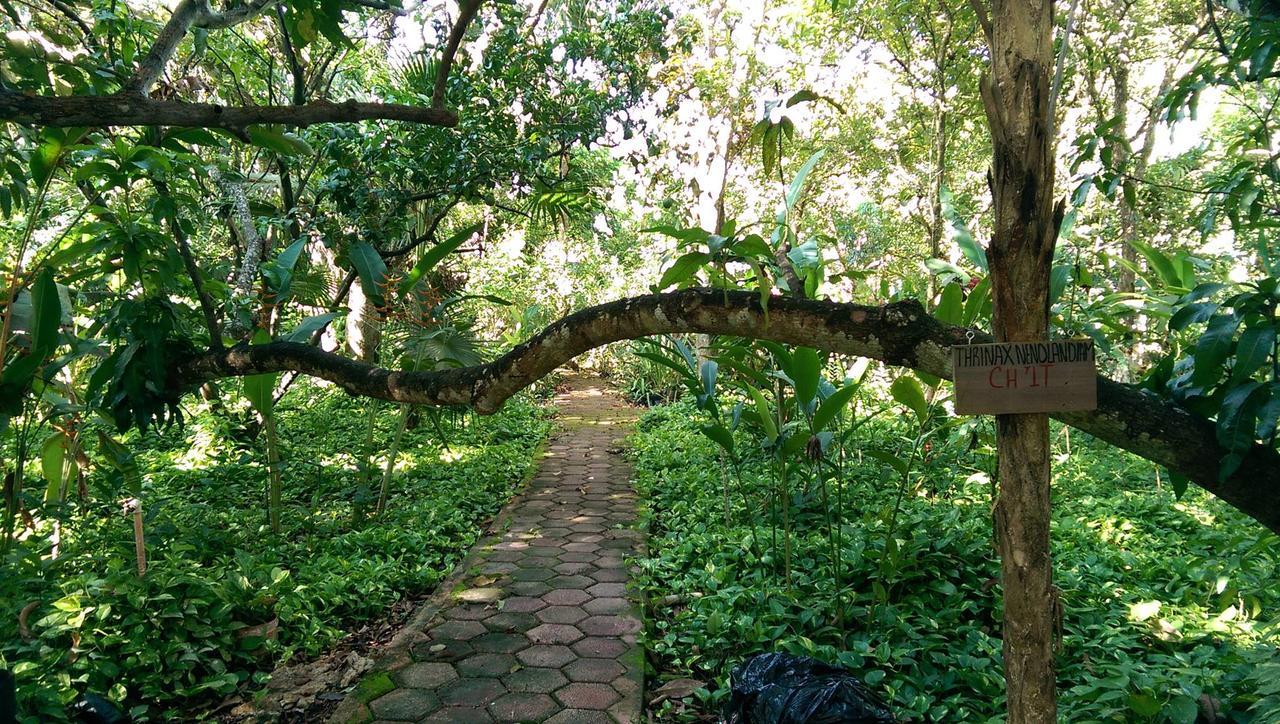 Ecotel Quinta Regia Βαγιαδολίδ Εξωτερικό φωτογραφία